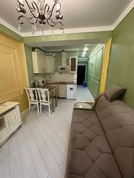 1-к кв. Краснодарский край, Сочи Вишневая ул., 5 (30.0 м)