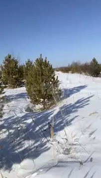 Участок в Тюменская область, Нижнетавдинский муниципальный округ, ...