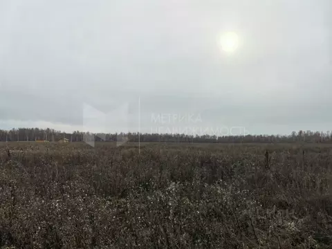 Участок в Тюменская область, Тюменский муниципальный округ, с. ...