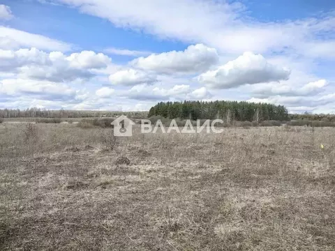 Участок в Нижегородская область, Богородский муниципальный округ, д. ...