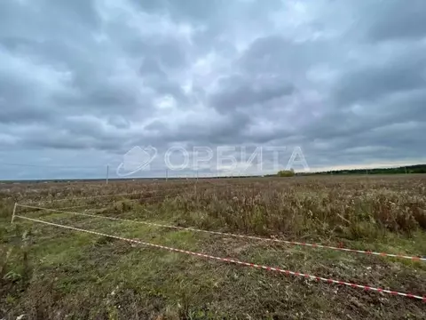 Участок в Тюменская область, Тюменский муниципальный округ, д. ...