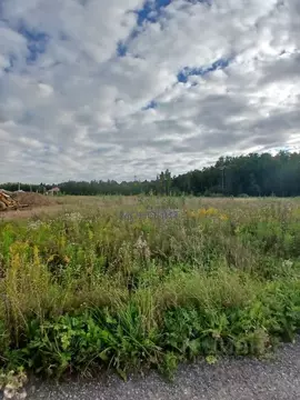 Участок в Москва № 177 кв-л, 371 (7.32 сот.)