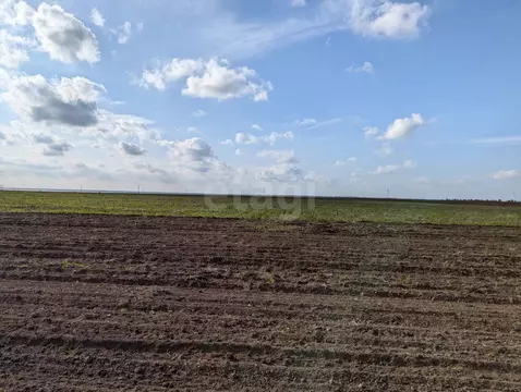 Участок в Крым, Сакский район, с. Молочное  (200.0 сот.)