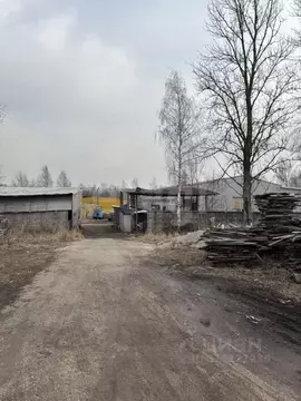 Помещение свободного назначения в Псковская область, Псков ...