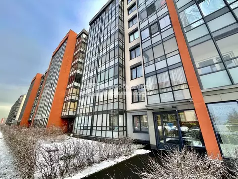 Студия Санкт-Петербург просп. Ветеранов, 185к2 (25.06 м)