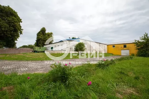 Участок в Калининградская область, Зеленоградский муниципальный округ, ...