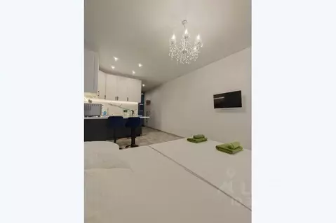 1-к кв. Московская область, Старая Купавна Богородский городской ...