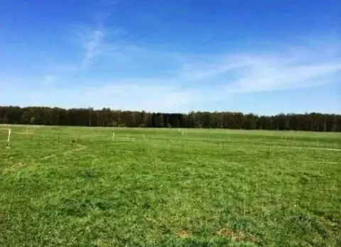 Участок в Челябинская область, Красноармейский район, пос. Луговой ул. ...