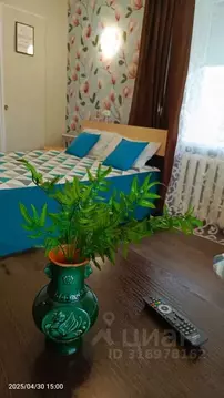 1-к кв. Пермский край, Чайковский ул. Карла Маркса, 47 (31.0 м)