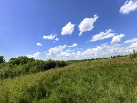 Участок в Мордовия, Саранск городской округ, пос. Пушкино  (15.0 сот.)