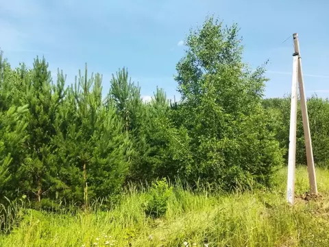 Участок в Тульская область, Ясногорский район, Иваньковское с/пос, ...