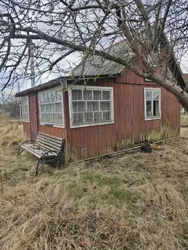 Участок в Калининградская область, Калининград Янтарь СНТ, 7-я линия ...