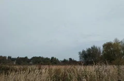 Участок в Московская область, Дмитровский муниципальный округ, д. ...