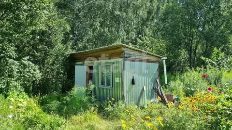 Участок в Брянская область, Брянский район, Снежское с/пос, с. ...