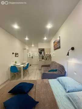 Квартира-студия: Санкт-Петербург, Лиговский проспект, 50к9литА (19.8 ...