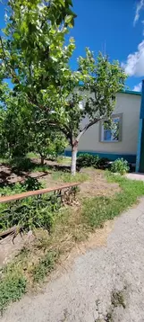 Дом в Волгоградская область, Светлоярский район, с. Большие Чапурники ...