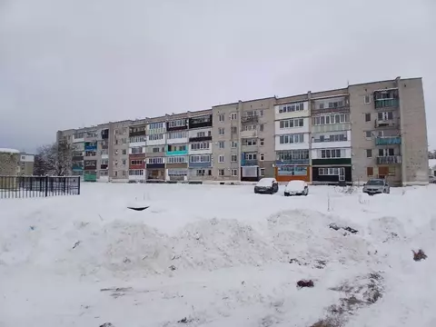 4-к кв. Нижегородская область, Кулебаки городской округ, Гремячево рп ...