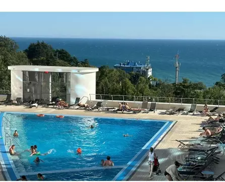 1-к кв. Краснодарский край, Сочи Курортный просп., 92/5 (75.0 м)