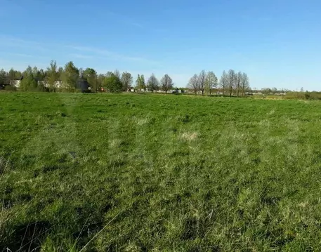 Мешоколь псковская. Участок земли псков. Корлы псковская область. Участок земли псков. Участок земли псков.