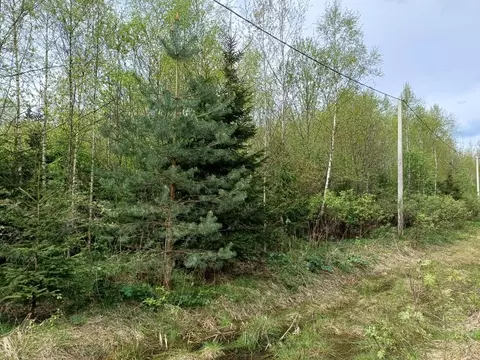 Участок в Московская область, Рузский муниципальный округ, Рузские ...