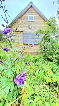 Дом в Архангельская область, Приморский муниципальный округ, д. ...