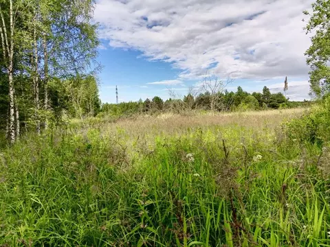 Участок в Новгородская область, Окуловский район, Березовикское с/пос, ...