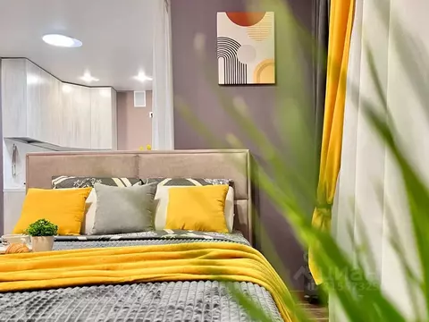 Студия Саратовская область, Саратов ул. Имени С.П. Лисина, 5А (41.0 м)