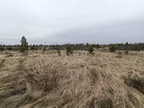 Участок в Курганская область, Кетовский муниципальный округ, ...