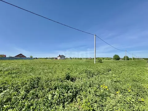 Участок в Марий Эл, Йошкар-Ола городской округ, д. Шоя-Кузнецово ул. ...