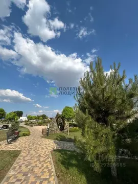 Участок в Крым, Сакский район, с. Столбовое ул. Молодежная, 15 (10.0 ...