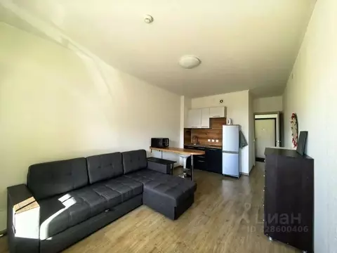 Студия Санкт-Петербург просп. Ветеранов, 169к2 (23.4 м)