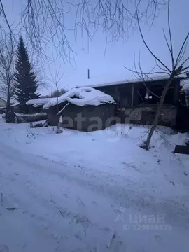 Участок в Алтай, Горно-Алтайск ул. Петра Сухова, 60 (4.82 сот.)