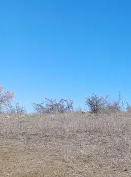 Участок в Крым, Бахчисарайский район, Железнодорожненское с/пос, с. ...