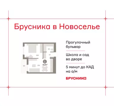 1-комнатная квартира: городской посёлок Новоселье, ЖК Брусника (43.83 ...