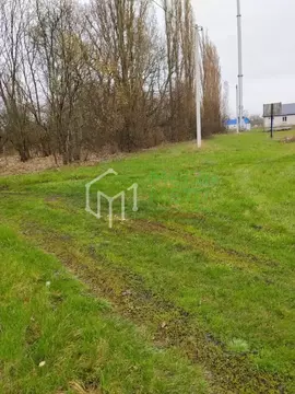 Участок в Воронежская область, Рамонский район, Березовское с/пос, с. ...
