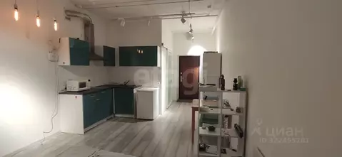 Студия Пермский край, Пермь ул. Куйбышева, 109А (26.3 м)