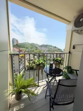 Студия Краснодарский край, Сочи городской округ, Дагомыс пгт ул. ...