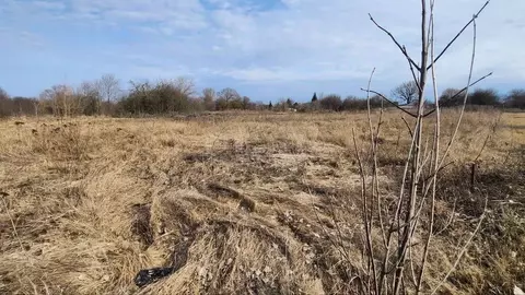 Участок в Белгородская область, Белгородский район, Беломестненское ...