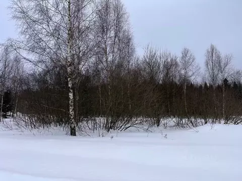 Участок в Москва Европейская долина-2 ДНП, пер. 3-й Двинский, 16 (9.11 ...