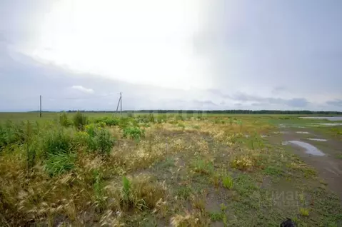 Участок в Сахалинская область, Анивский городской округ, с. Песчанское ...