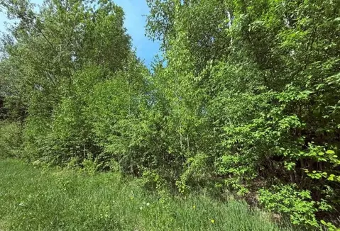 Участок в Московская область, Дмитровский муниципальный округ, ...