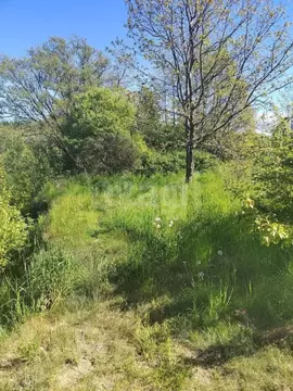 Участок в Калининградская область, Ладушкин Почтовый пер. (7.4 сот.)