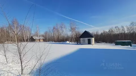 Участок в Алтайский край, Барнаул городской округ, пос. Бельмесево ...