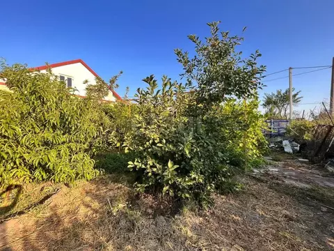 Дом в Астраханская область, Приволжский район, Монолит садовое ...