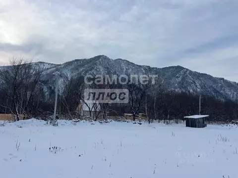 Участок в Алтай, Майминский район, с. Усть-Муны пер. Кленовый (11.5 ...