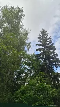 Участок в Московская область, Одинцовский городской округ, Лесные ...