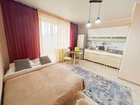 1-к кв. Челябинская область, Миасс бул. И.И. Седова, 15 (26.0 м)