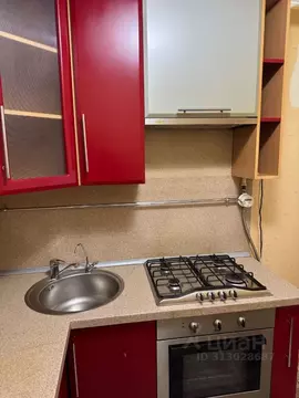 1-к кв. Нижегородская область, Нижний Новгород Светлогорский пер., 13 ...