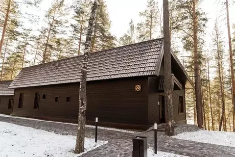 Дом в Алтай, Майминский район Р-256 Чуйский тракт, 478-й км (145 м)