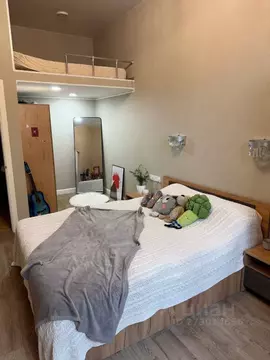 1-к кв. Санкт-Петербург ул. Профессора Попова, 30 (45.0 м)